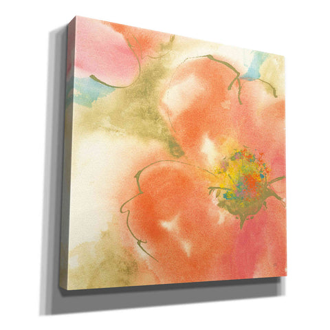 Image of 'Coral Poppy I' by Chris Paschke, Giclee Canvas Wall Art