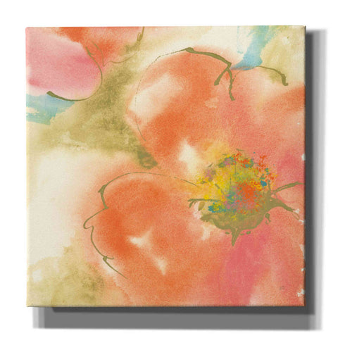 Image of 'Coral Poppy I' by Chris Paschke, Giclee Canvas Wall Art