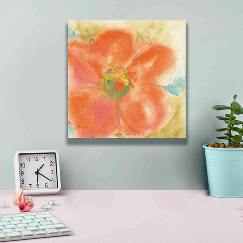 Image of 'Coral Poppy II' by Chris Paschke, Giclee Canvas Wall Art,12 x 12