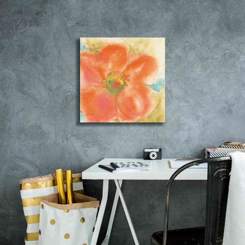 Image of 'Coral Poppy II' by Chris Paschke, Giclee Canvas Wall Art,18 x 18