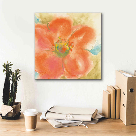 Image of 'Coral Poppy II' by Chris Paschke, Giclee Canvas Wall Art,18 x 18