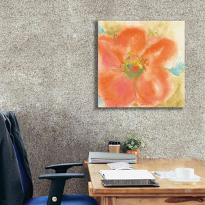 'Coral Poppy II' by Chris Paschke, Giclee Canvas Wall Art,26 x 26