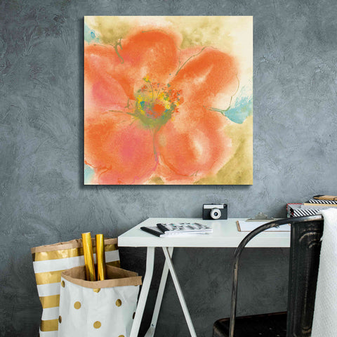 Image of 'Coral Poppy II' by Chris Paschke, Giclee Canvas Wall Art,26 x 26