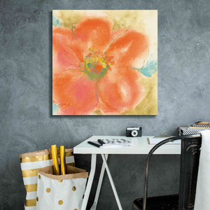 'Coral Poppy II' by Chris Paschke, Giclee Canvas Wall Art,26 x 26