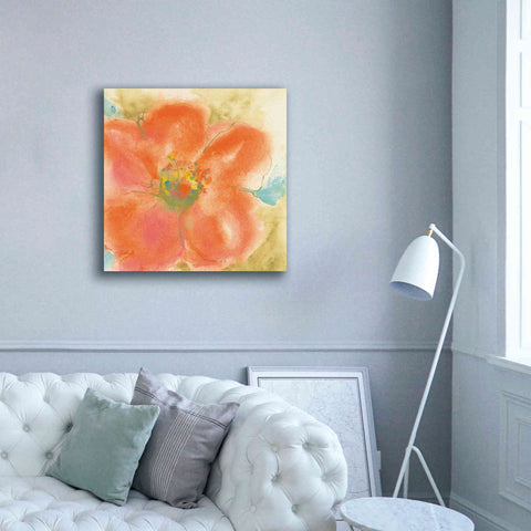 Image of 'Coral Poppy II' by Chris Paschke, Giclee Canvas Wall Art,37 x 37