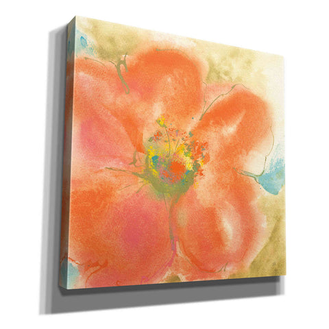 Image of 'Coral Poppy II' by Chris Paschke, Giclee Canvas Wall Art