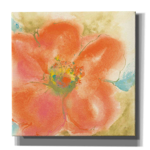 Image of 'Coral Poppy II' by Chris Paschke, Giclee Canvas Wall Art