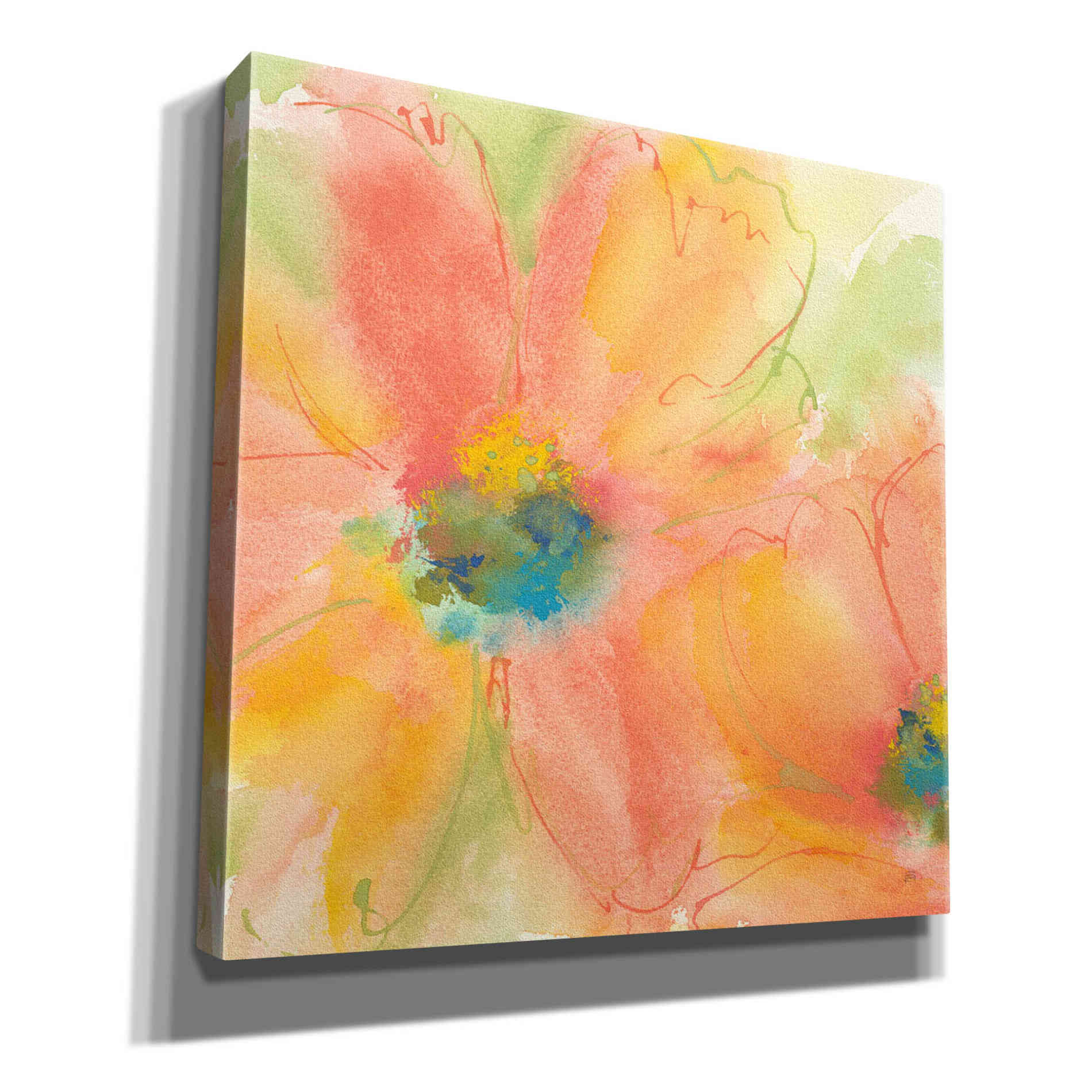 'Tinted Cosmos I' by Chris Paschke, Giclee Canvas Wall Art