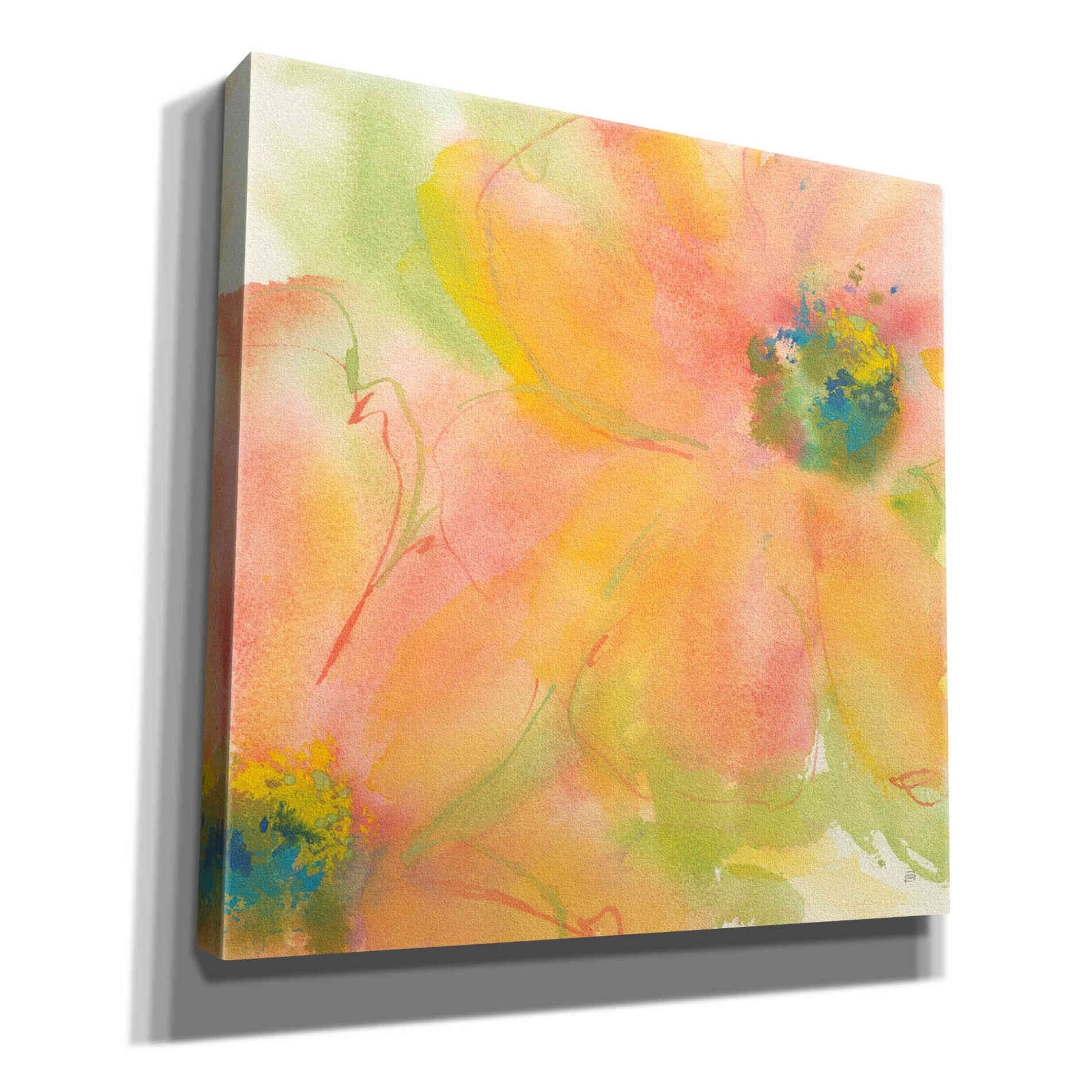 'Tinted Cosmos II' by Chris Paschke, Giclee Canvas Wall Art