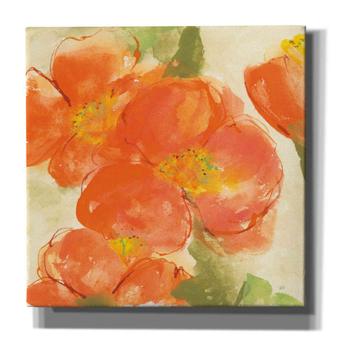 Image of 'Tangerine Poppies I' by Chris Paschke, Giclee Canvas Wall Art