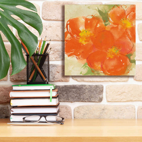 Image of 'Tangerine Poppies II' by Chris Paschke, Giclee Canvas Wall Art,12 x 12