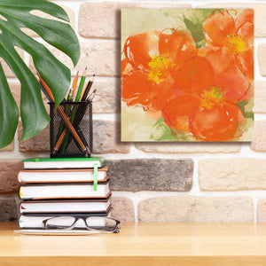 'Tangerine Poppies II' by Chris Paschke, Giclee Canvas Wall Art,12 x 12