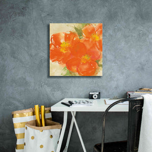 'Tangerine Poppies II' by Chris Paschke, Giclee Canvas Wall Art,18 x 18