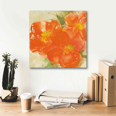 Image of 'Tangerine Poppies II' by Chris Paschke, Giclee Canvas Wall Art,18 x 18