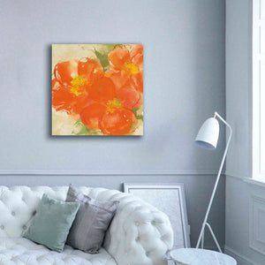 'Tangerine Poppies II' by Chris Paschke, Giclee Canvas Wall Art,37 x 37