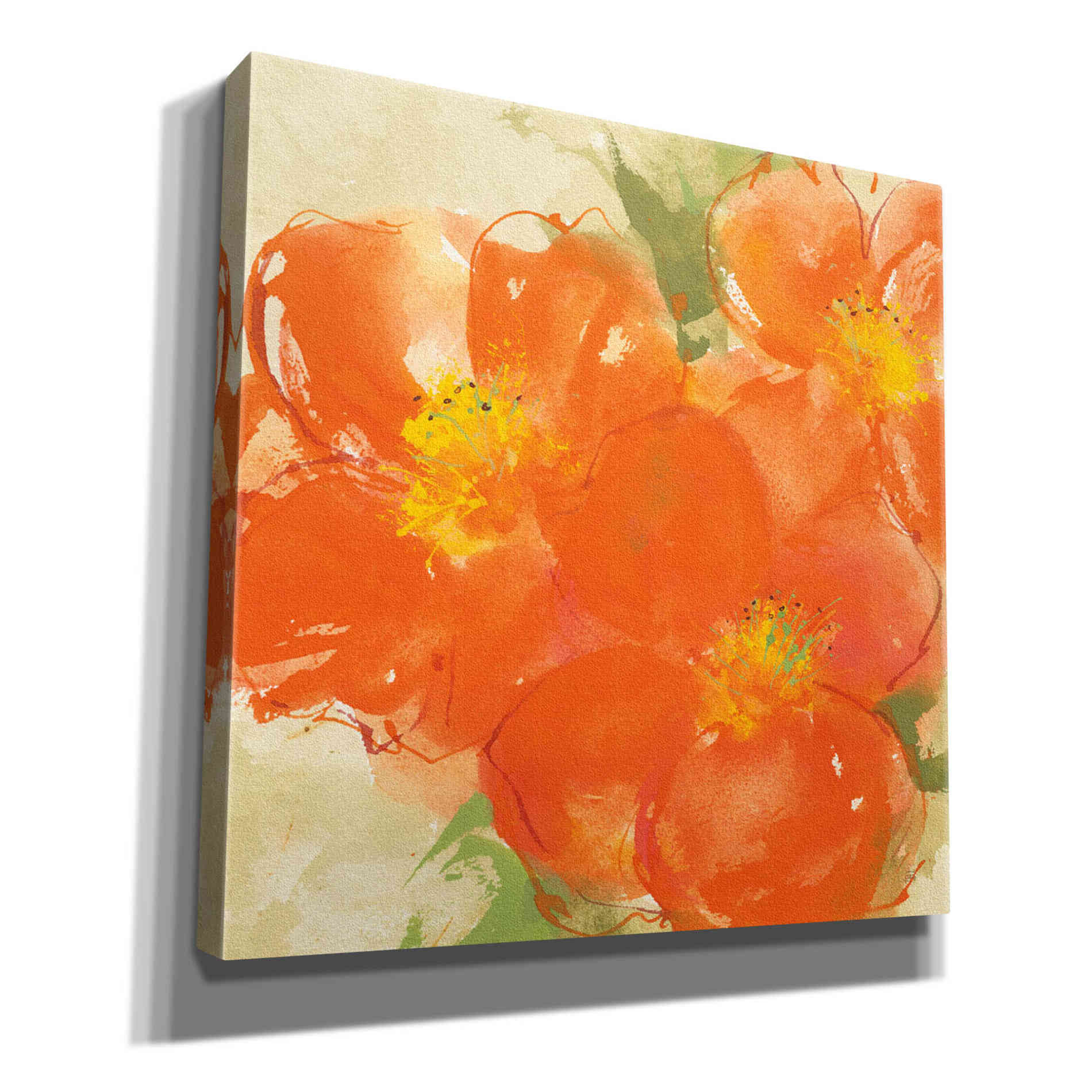 'Tangerine Poppies II' by Chris Paschke, Giclee Canvas Wall Art