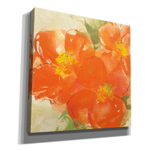 Image of 'Tangerine Poppies II' by Chris Paschke, Giclee Canvas Wall Art