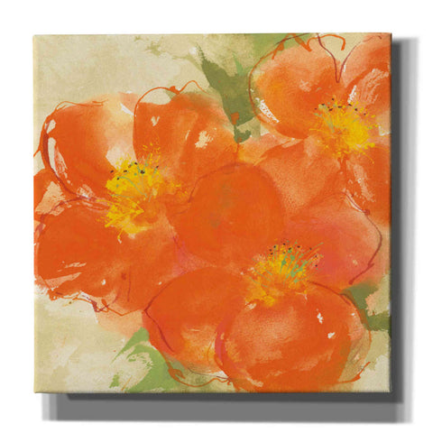 Image of 'Tangerine Poppies II' by Chris Paschke, Giclee Canvas Wall Art
