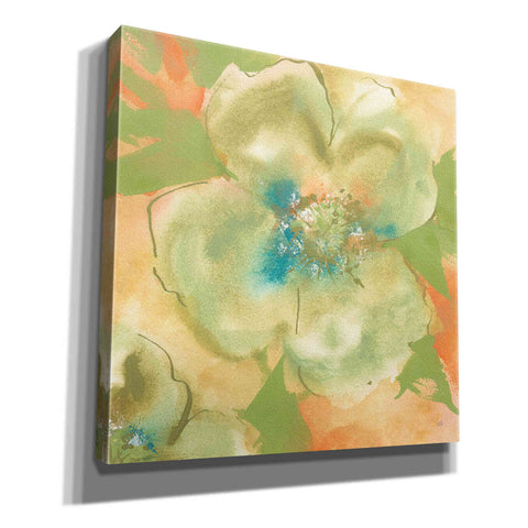 Image of 'Olive Poppy I' by Chris Paschke, Giclee Canvas Wall Art