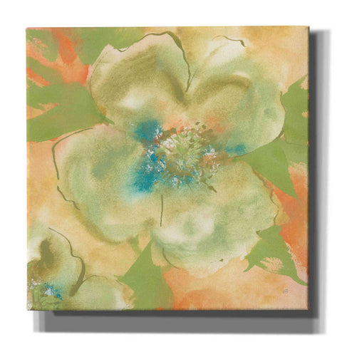 Image of 'Olive Poppy I' by Chris Paschke, Giclee Canvas Wall Art