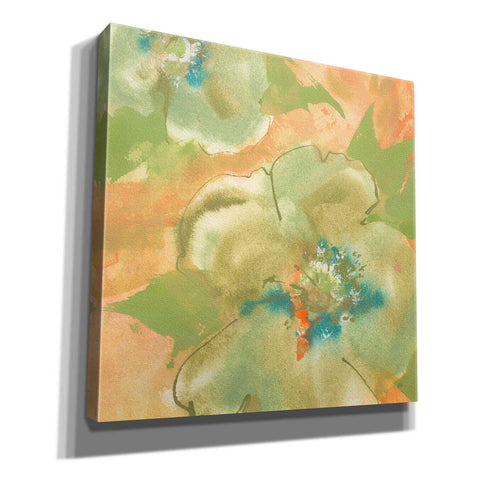 Image of 'Olive Poppy II' by Chris Paschke, Giclee Canvas Wall Art