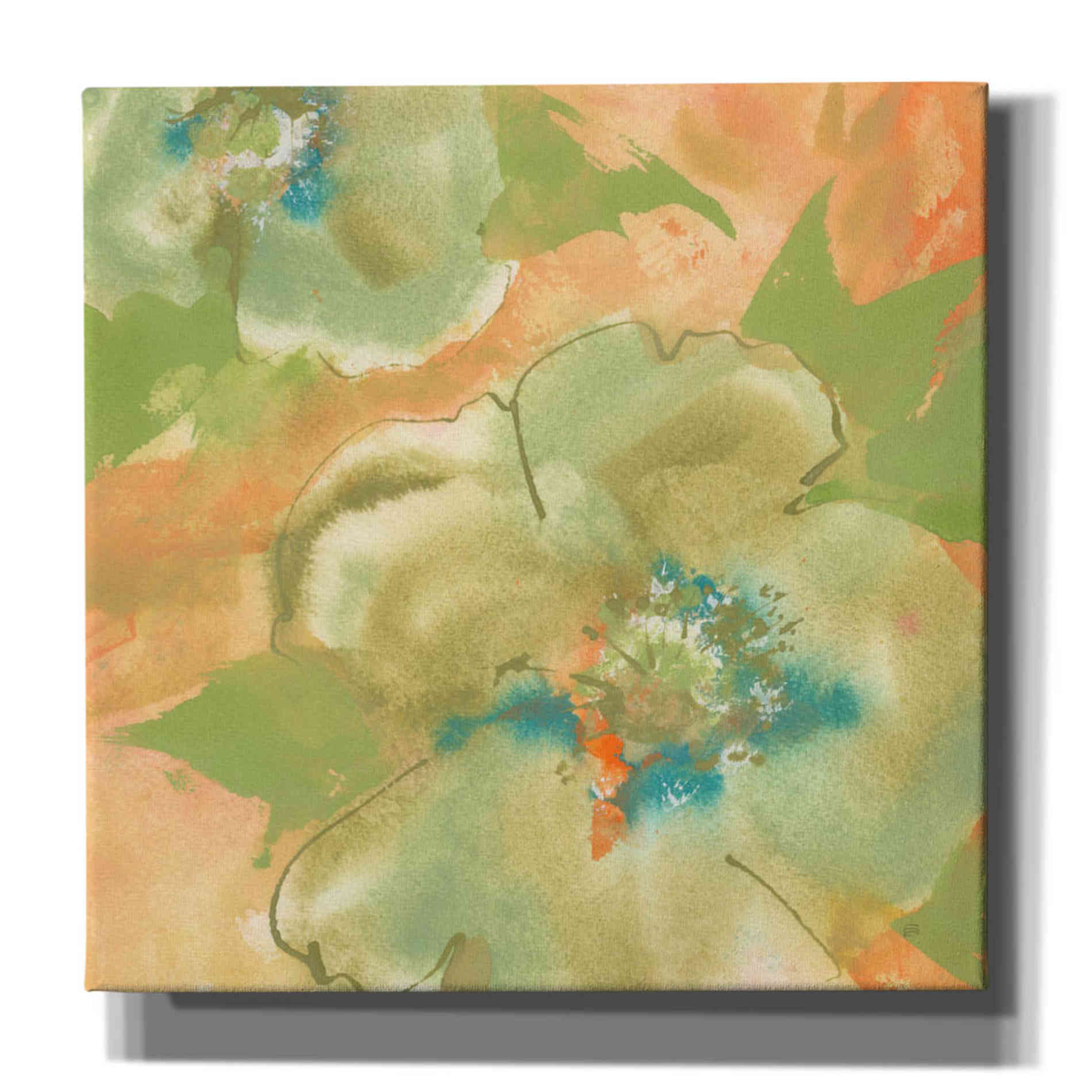 'Olive Poppy II' by Chris Paschke, Giclee Canvas Wall Art