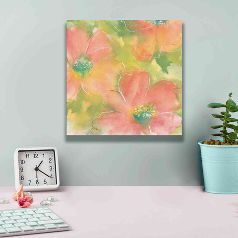 Image of 'Summer Cosmos I' by Chris Paschke, Giclee Canvas Wall Art,12 x 12