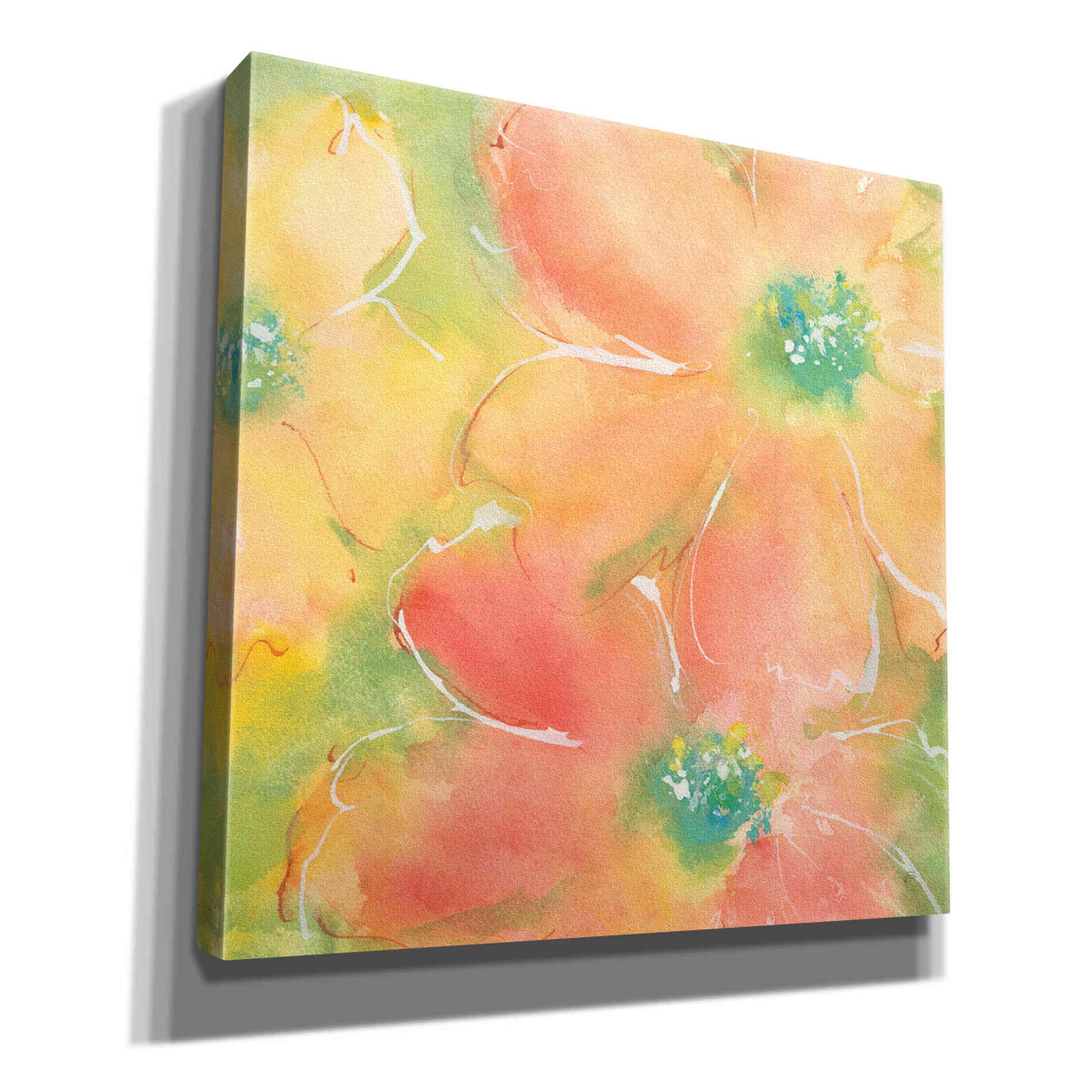 'Summer Cosmos II' by Chris Paschke, Giclee Canvas Wall Art
