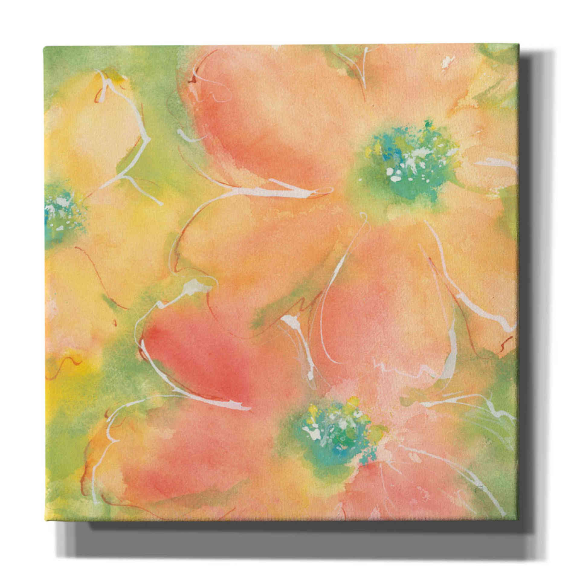 'Summer Cosmos II' by Chris Paschke, Giclee Canvas Wall Art