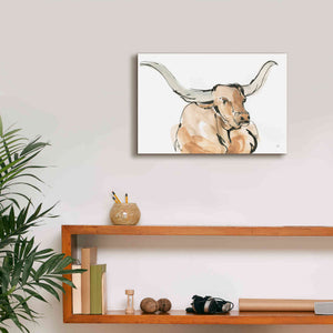 'Longhorn I' by Chris Paschke, Giclee Canvas Wall Art,18 x 12