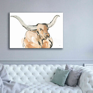 'Longhorn I' by Chris Paschke, Giclee Canvas Wall Art,60 x 40