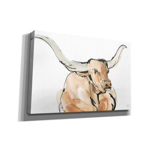 'Longhorn I' by Chris Paschke, Giclee Canvas Wall Art