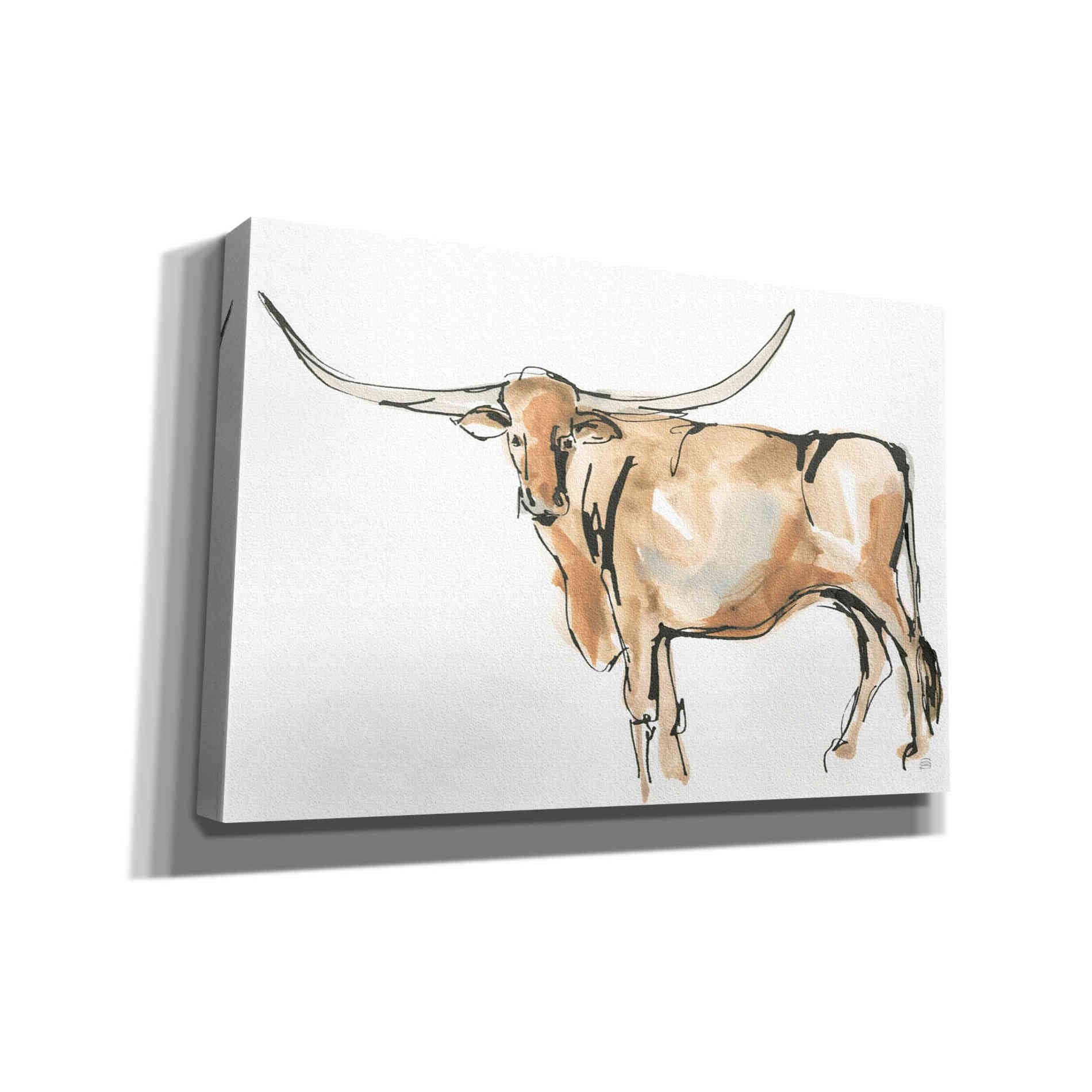 'Longhorn II' by Chris Paschke, Giclee Canvas Wall Art