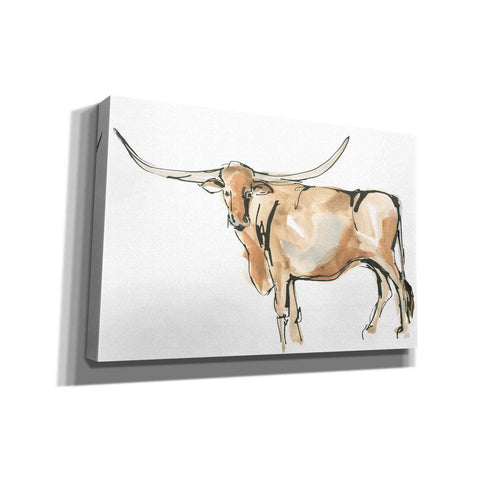 Image of 'Longhorn II' by Chris Paschke, Giclee Canvas Wall Art