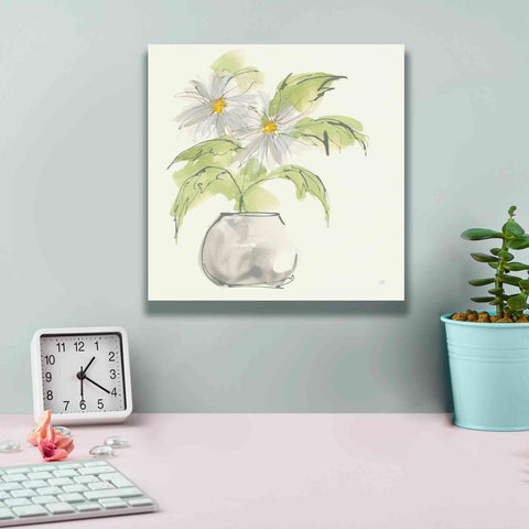 Image of 'Plant Daisy I' by Chris Paschke, Giclee Canvas Wall Art,12 x 12