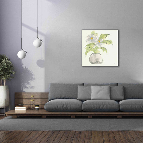 Image of 'Plant Daisy I' by Chris Paschke, Giclee Canvas Wall Art,37 x 37