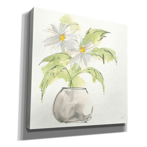 Image of 'Plant Daisy I' by Chris Paschke, Giclee Canvas Wall Art
