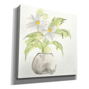'Plant Daisy I' by Chris Paschke, Giclee Canvas Wall Art