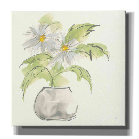 Image of 'Plant Daisy I' by Chris Paschke, Giclee Canvas Wall Art