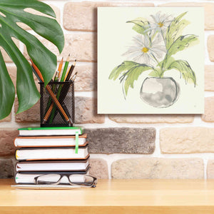 'Plant Daisy II' by Chris Paschke, Giclee Canvas Wall Art,12 x 12