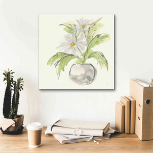 'Plant Daisy II' by Chris Paschke, Giclee Canvas Wall Art,18 x 18