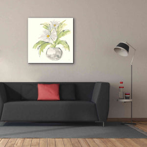 'Plant Daisy II' by Chris Paschke, Giclee Canvas Wall Art,37 x 37