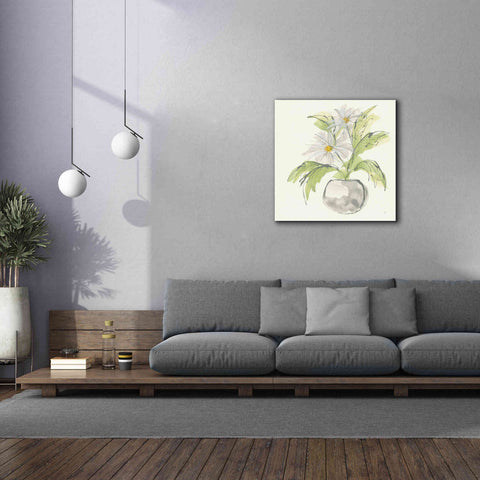 Image of 'Plant Daisy II' by Chris Paschke, Giclee Canvas Wall Art,37 x 37