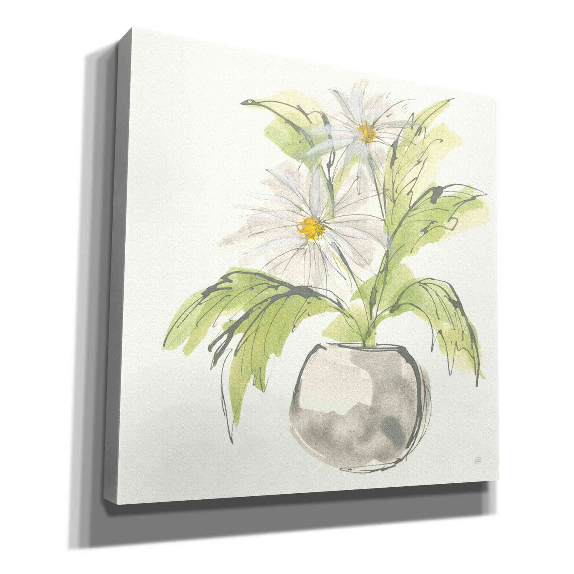'Plant Daisy II' by Chris Paschke, Giclee Canvas Wall Art