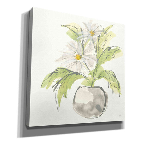Image of 'Plant Daisy II' by Chris Paschke, Giclee Canvas Wall Art