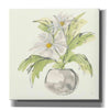 'Plant Daisy II' by Chris Paschke, Giclee Canvas Wall Art