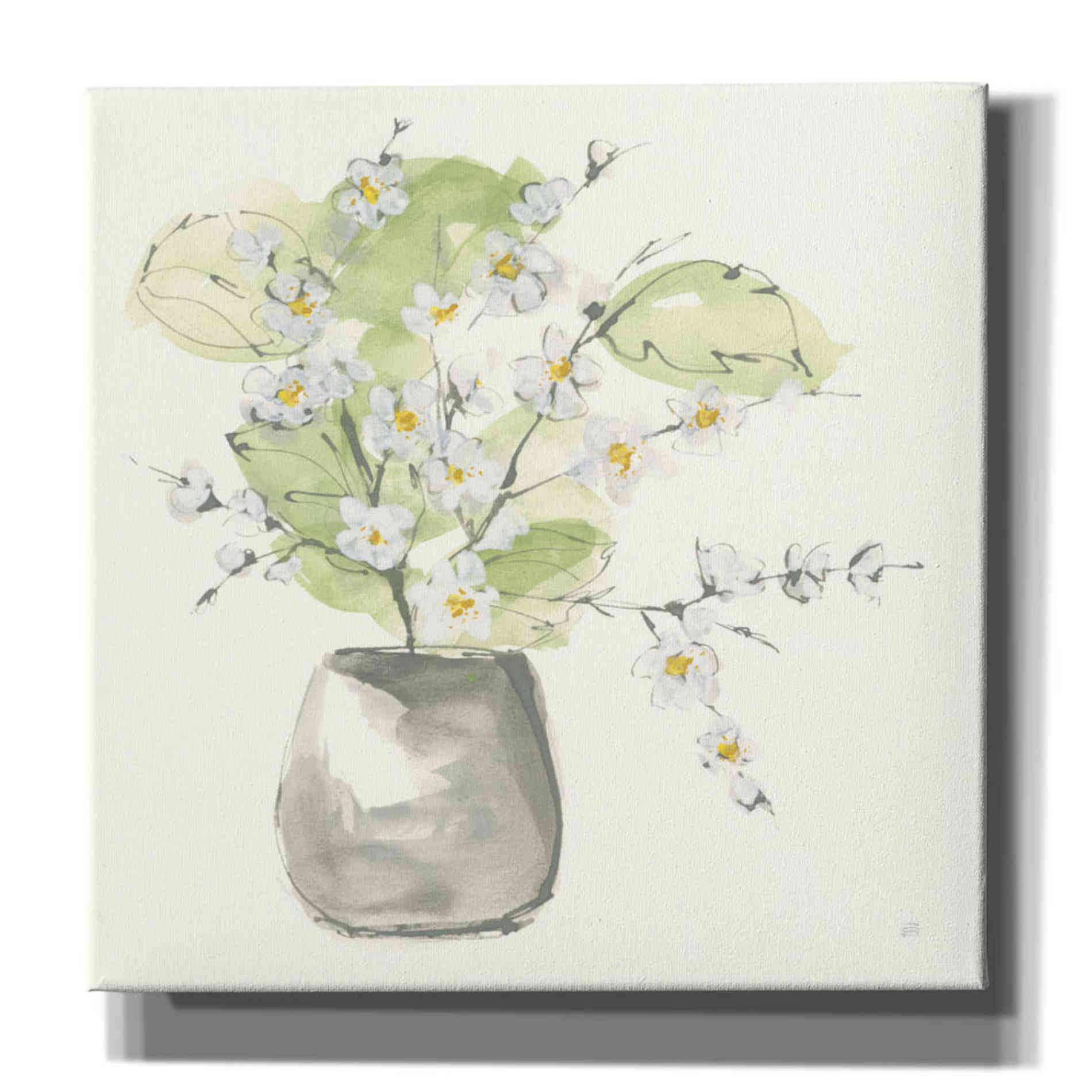 'Plant Blossom I' by Chris Paschke, Giclee Canvas Wall Art