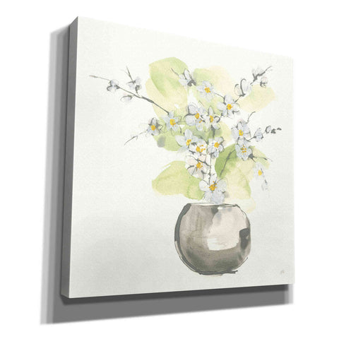 Image of 'Plant Blossom II' by Chris Paschke, Giclee Canvas Wall Art