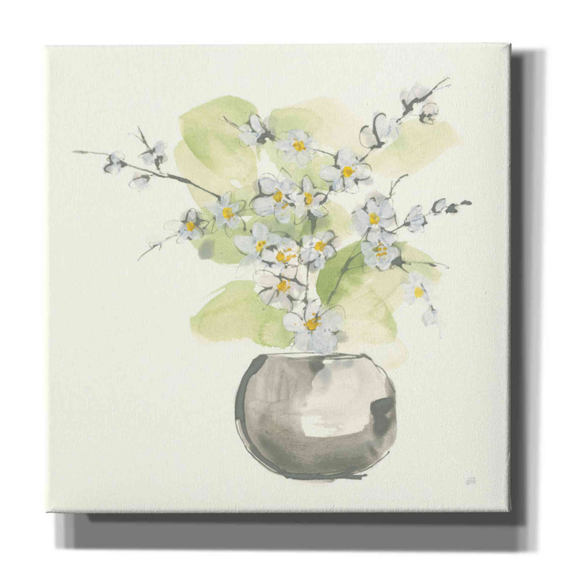 'Plant Blossom II' by Chris Paschke, Giclee Canvas Wall Art