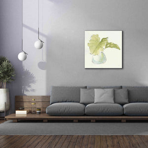'Plant Big Leaf I' by Chris Paschke, Giclee Canvas Wall Art,37 x 37